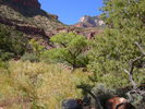 photo thumbnail #5