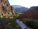 photo thumbnail #11