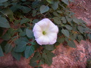 photo thumbnail #13