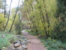 photo thumbnail #4