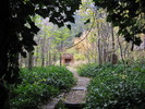 photo thumbnail #8