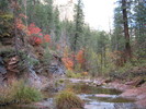 photo thumbnail #14