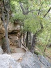 photo thumbnail #3