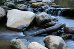 photo thumbnail #1