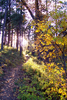 photo thumbnail #13