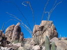 photo thumbnail #4