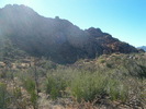 photo thumbnail #6