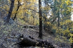 photo thumbnail #1