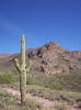 photo thumbnail #2