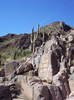 photo thumbnail #5