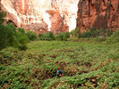 photo thumbnail #14