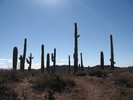 photo thumbnail #7