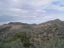 photo thumbnail #4