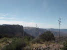 photo thumbnail #10