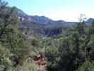 photo thumbnail #6