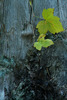 photo thumbnail #15
