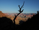 photo thumbnail #11