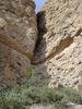 photo thumbnail #14