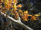 photo thumbnail #10