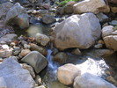 photo thumbnail #12
