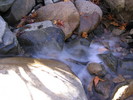 photo thumbnail #13