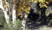 photo thumbnail #7