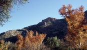 photo thumbnail #15
