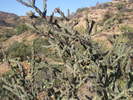photo thumbnail #6