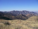photo thumbnail #10