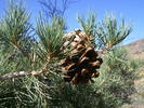 photo thumbnail #12