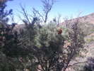 photo thumbnail #13