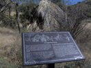 photo thumbnail #12