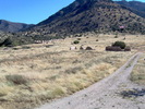 photo thumbnail #15