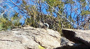 photo thumbnail #2