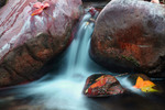 photo thumbnail #6