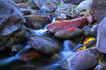 photo thumbnail #8