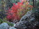 photo thumbnail #14