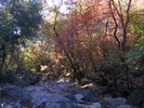 photo thumbnail #3