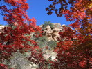 photo thumbnail #11