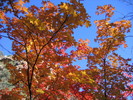 photo thumbnail #12