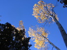 photo thumbnail #13