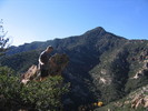 photo thumbnail #14