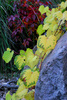 photo thumbnail #12
