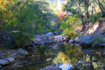 photo thumbnail #15