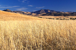 the grassy shores of Ash Creek photo of comment