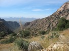 photo thumbnail #2