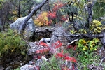 photo thumbnail #3