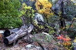 photo thumbnail #4