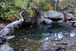 photo thumbnail #5