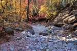 photo thumbnail #9